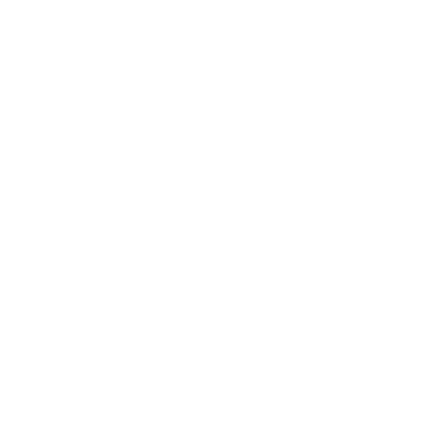 dataplan