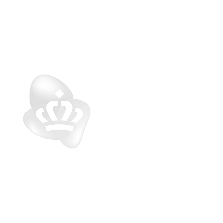 kpn-international