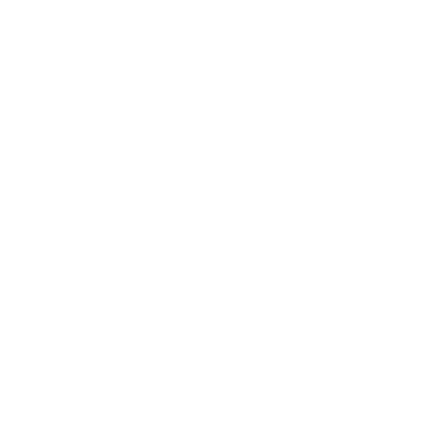 T-Systeme