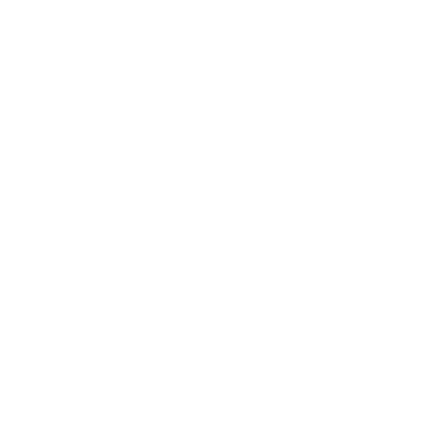 Resilient Data